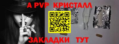 спиды Кингисепп
