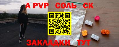 спиды Кингисепп
