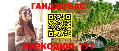 стафф Кимры