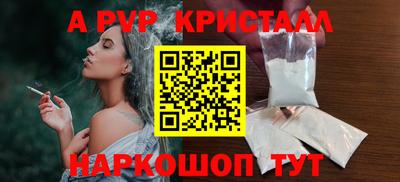 спиды Кингисепп
