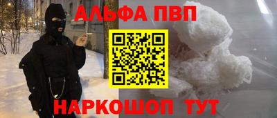 спиды Кингисепп