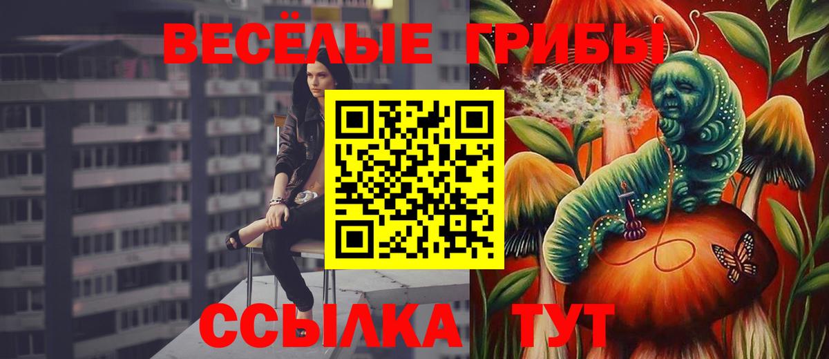 Тара  наркота  Вход с VPN  Псилоцибиновые грибы ЛСД 